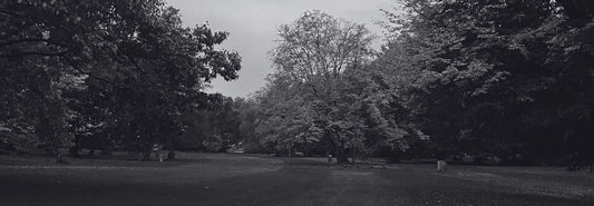 some reflections from drop 1